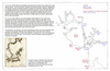 spa49 nootka incident 4_thumb.gif
